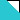 TURQUOISE/WHITE-919