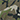 CAMO-986