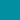 DUCK BLUE-235
