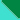 TURQUOISE/GREEN FLUO