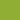 LIME NEW - 281