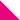 FUCSHIA/WHITE
