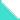 TYRQUOISE/WHITE