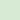CREAMY GREEN - 323
